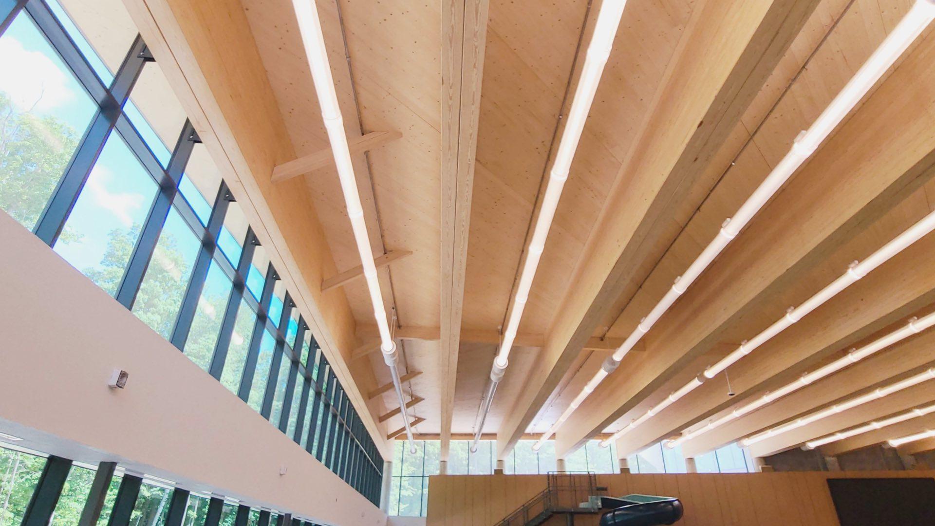 Cross-Laminated Timber | CLT - Bell Structural Solutions