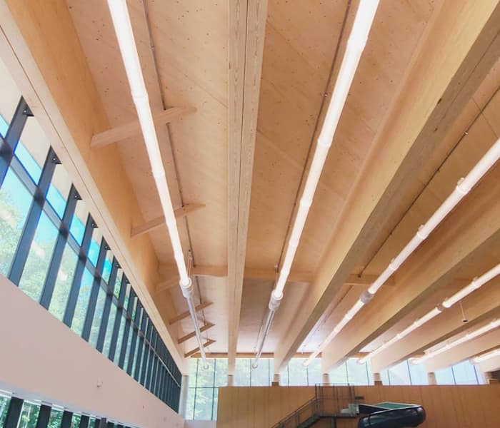 Cross-Laminated Timber | CLT - Bell Structural Solutions
