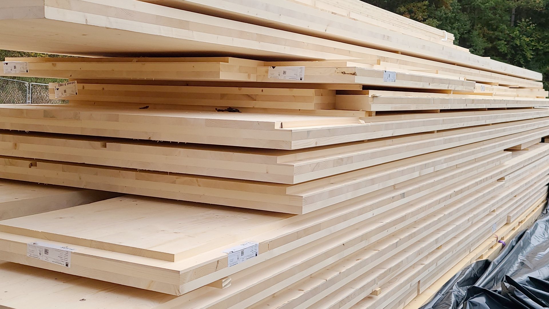 Cross-Laminated Timber | CLT - Bell Structural Solutions