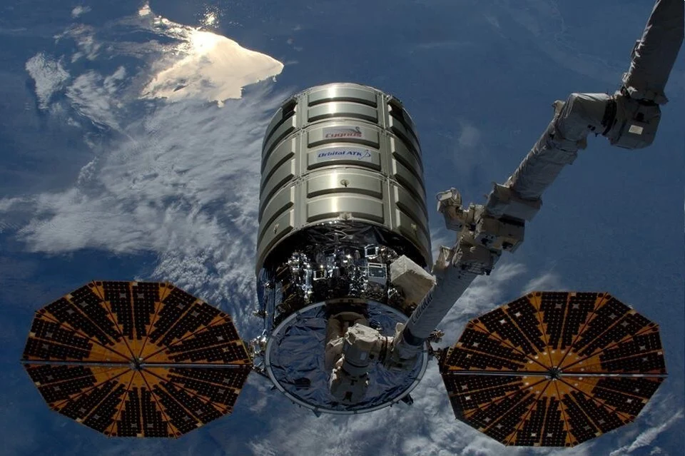 Cygnus jpg