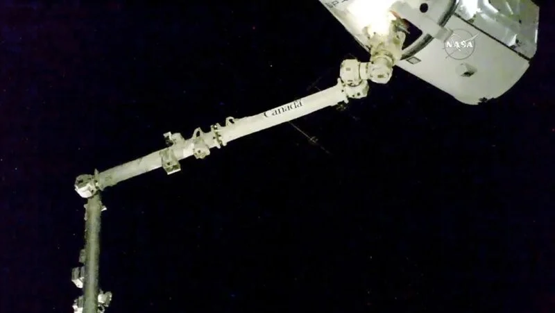 Dragon Capsule jpg