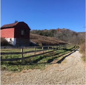 Barn