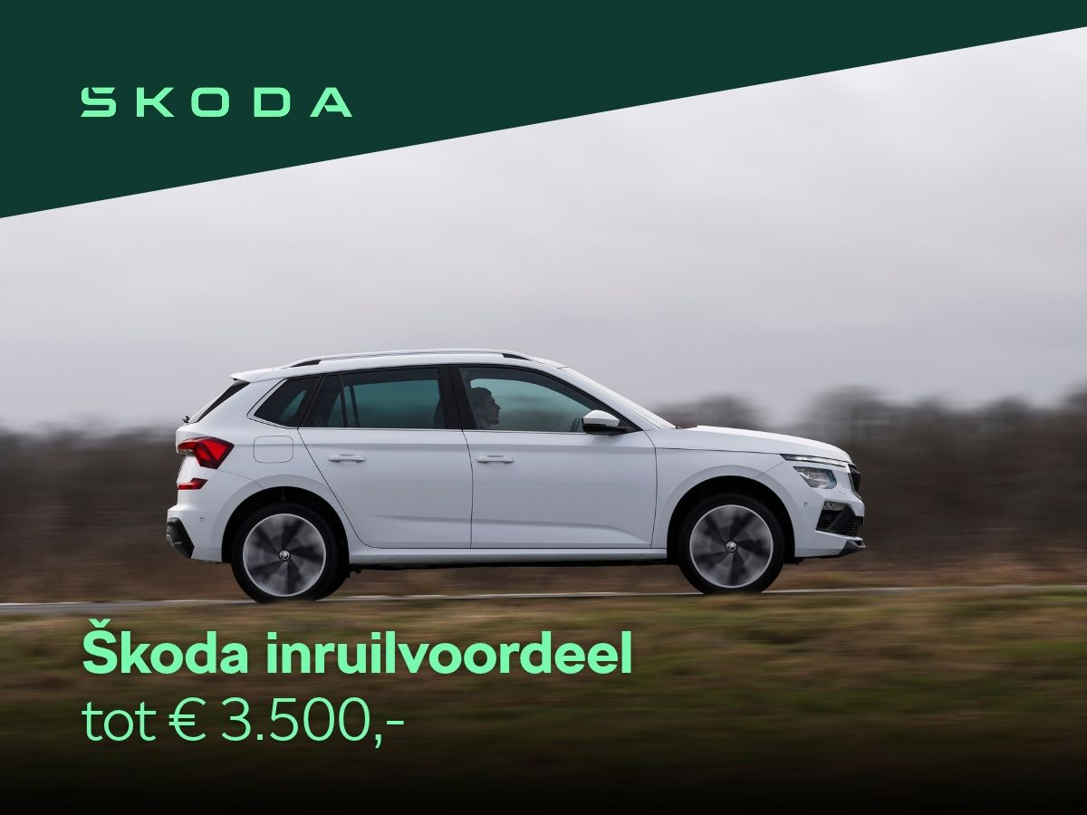 inruilvoordeel3500