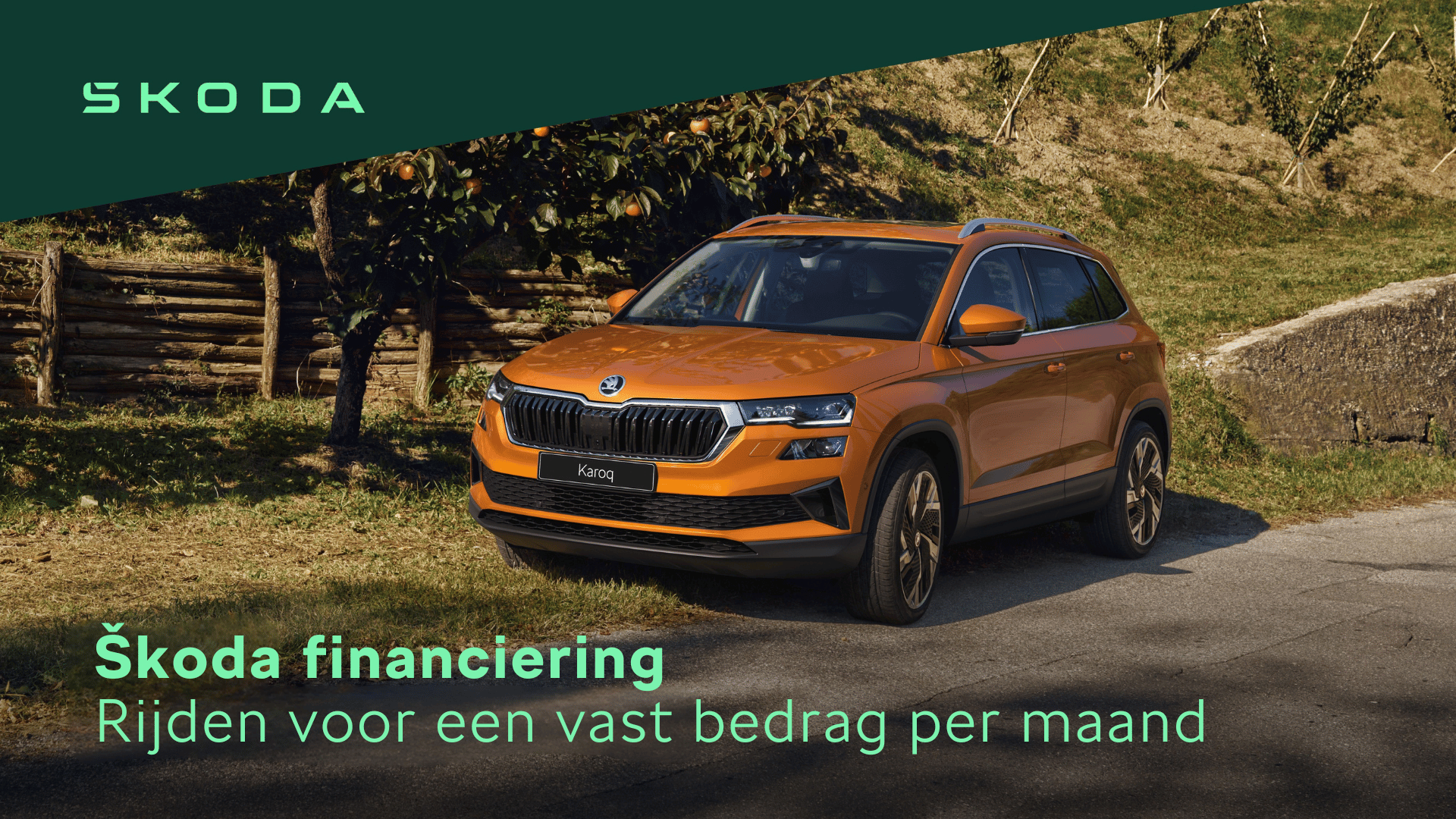 Oranje auto in groenstrook.