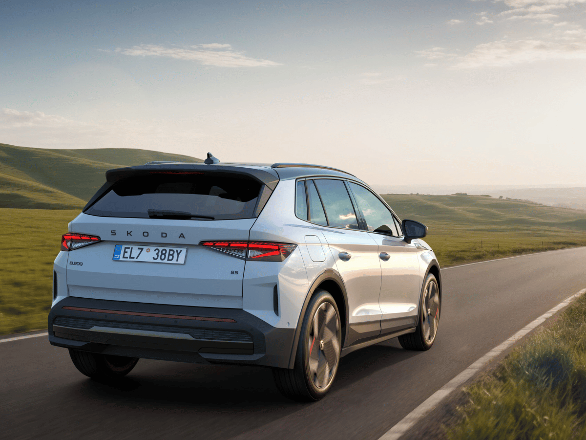 witte auto door natuur