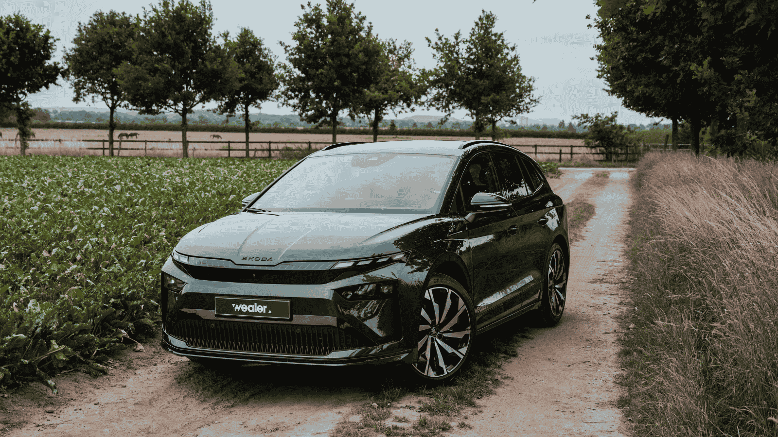 Škoda Enyaq model Header