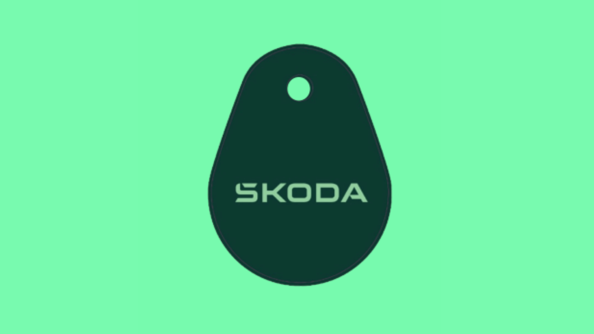 Škoda laadtegoed