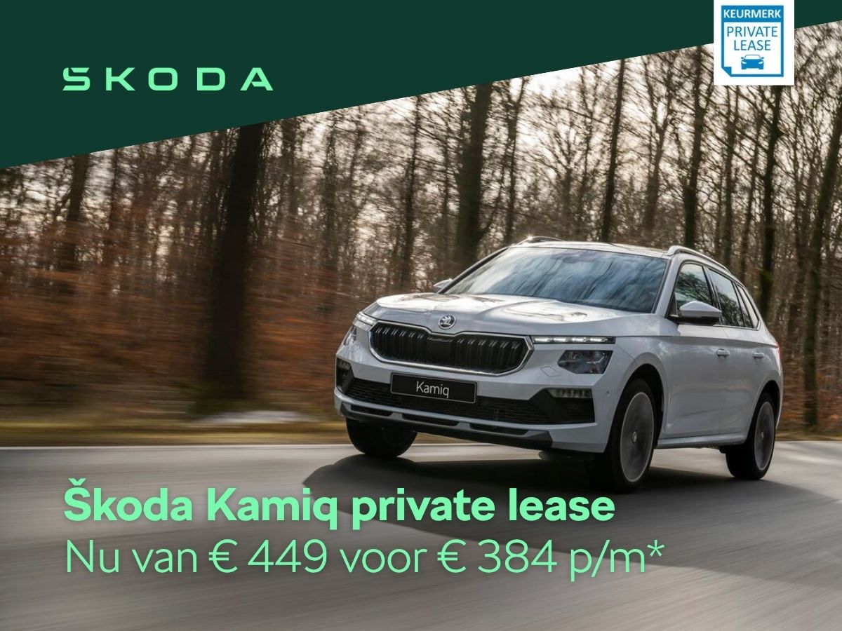 Škoda Kamiq private lease klein