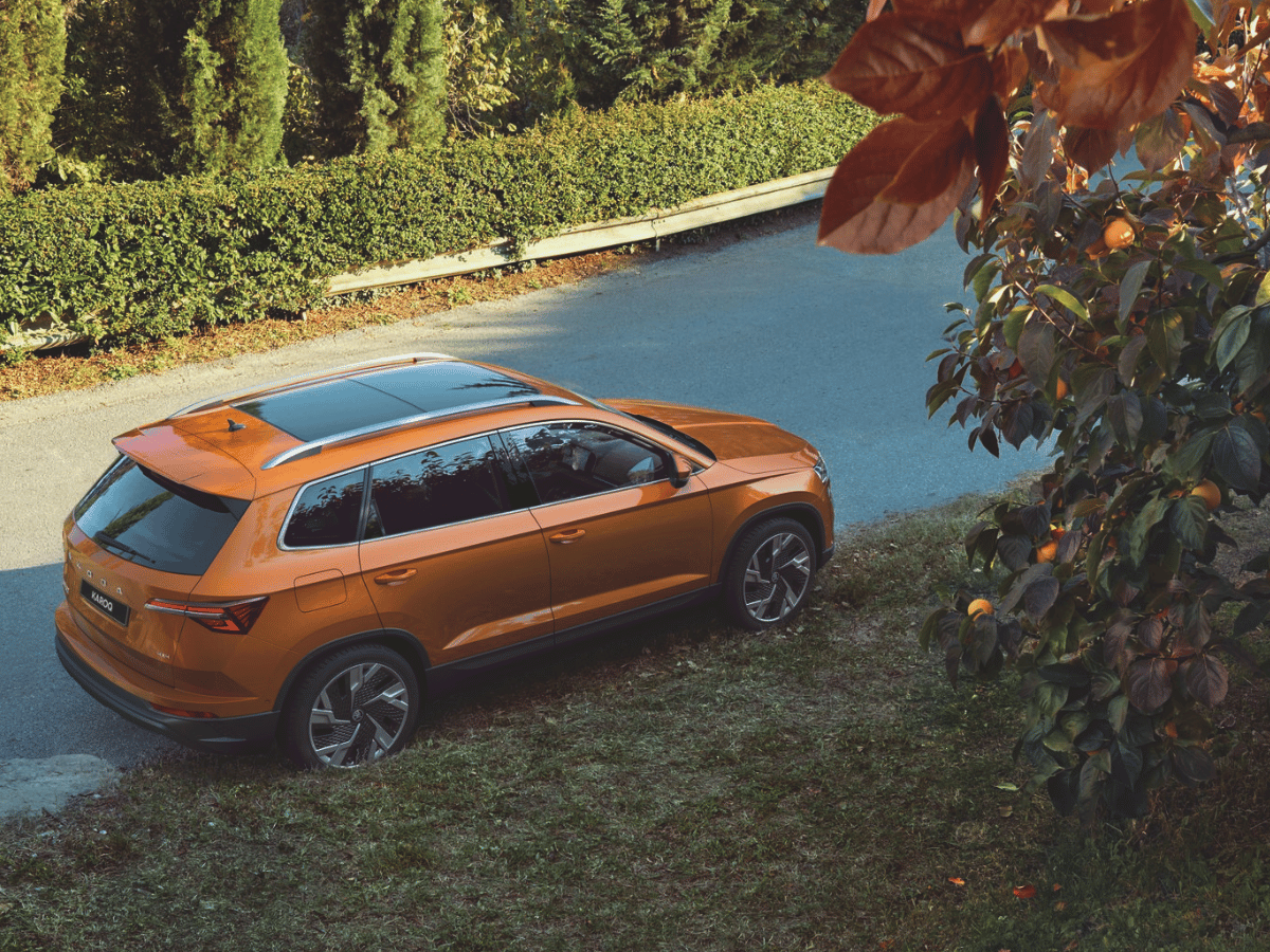 oranje auto aan de rand van een weg