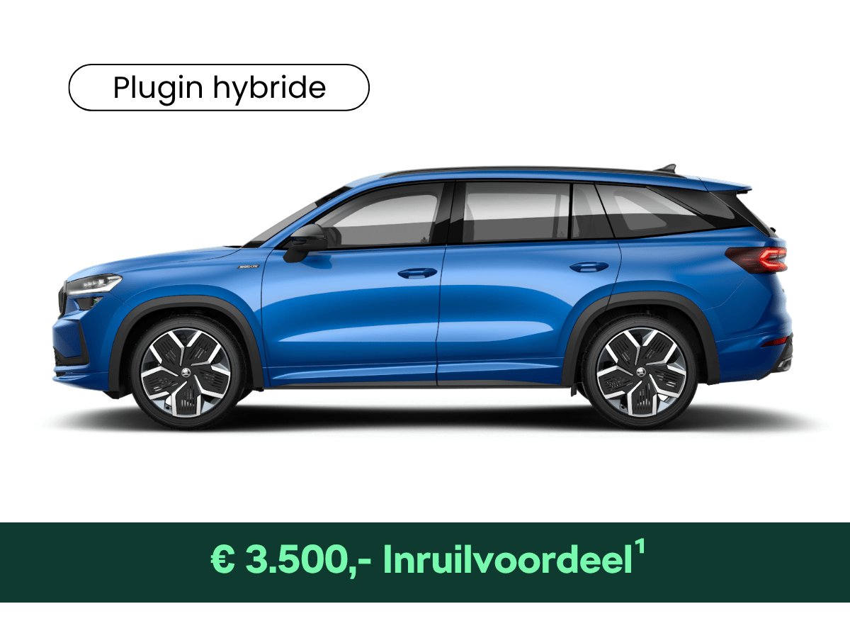 Kodiaq_2026 09 11 111316_epyn