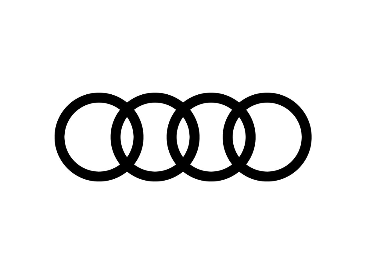 audilogov2