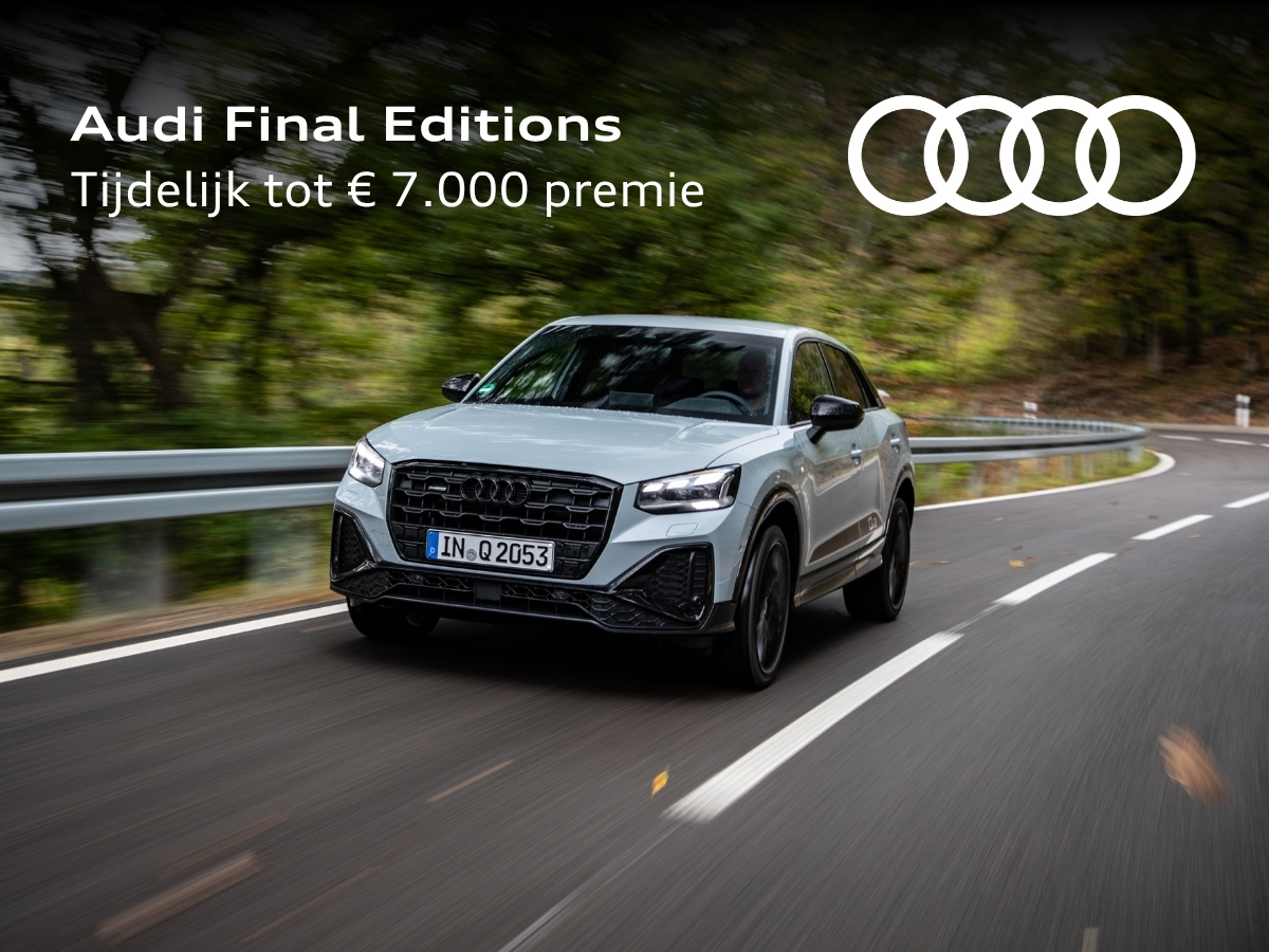 Audi Final Editions klein