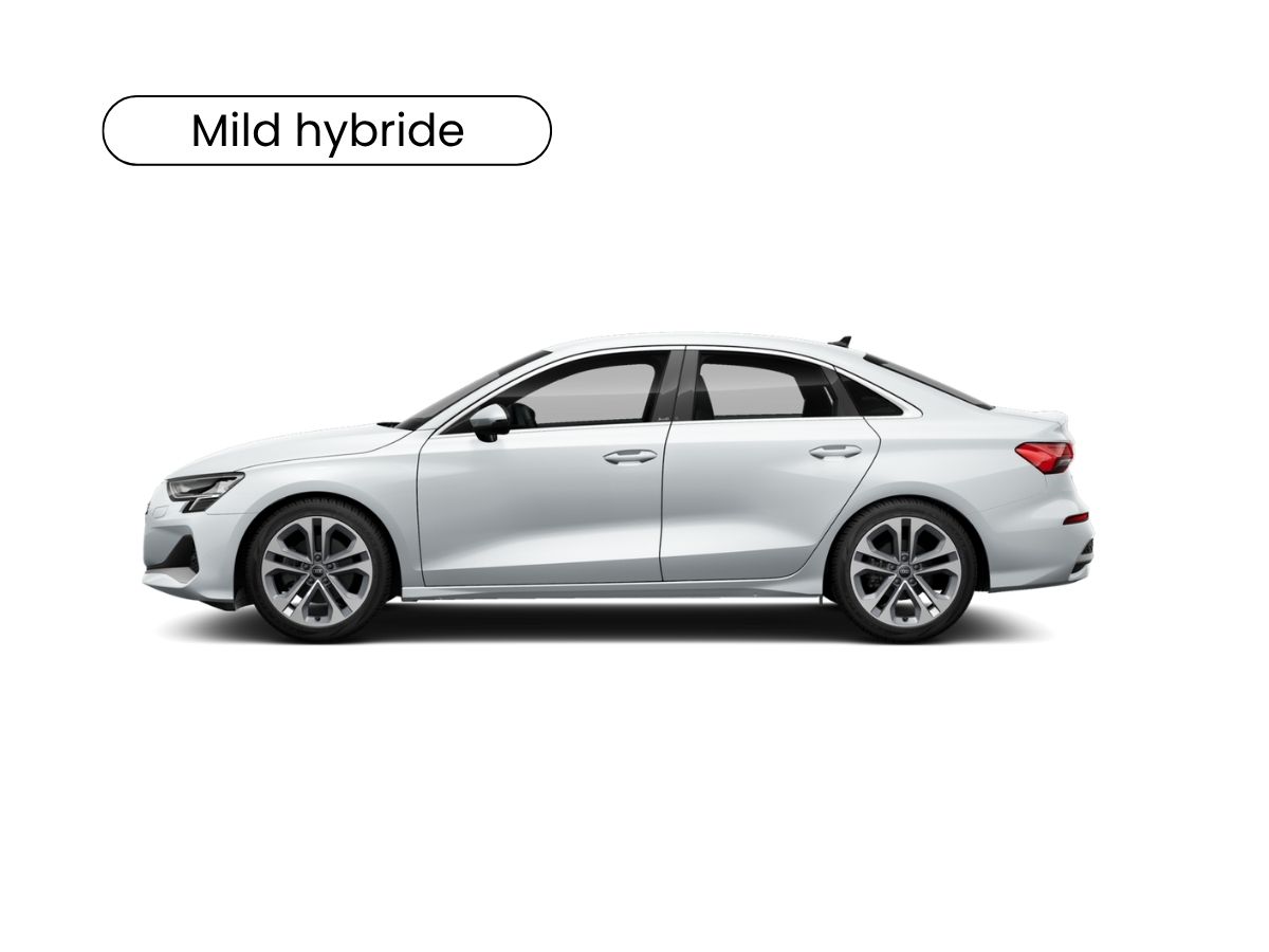 A3 limousinemild