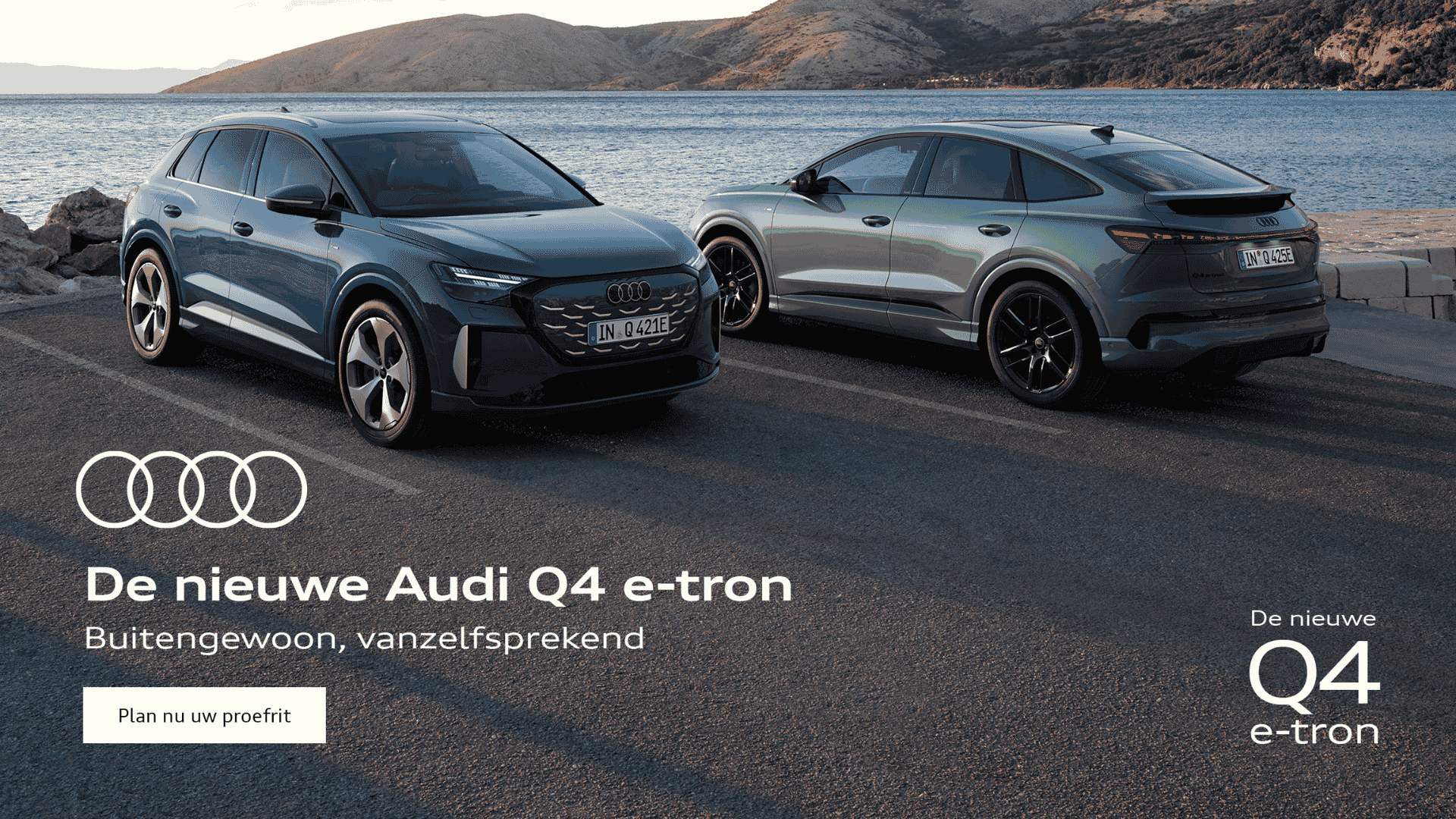 Audi Q4 e tron dealerbanner