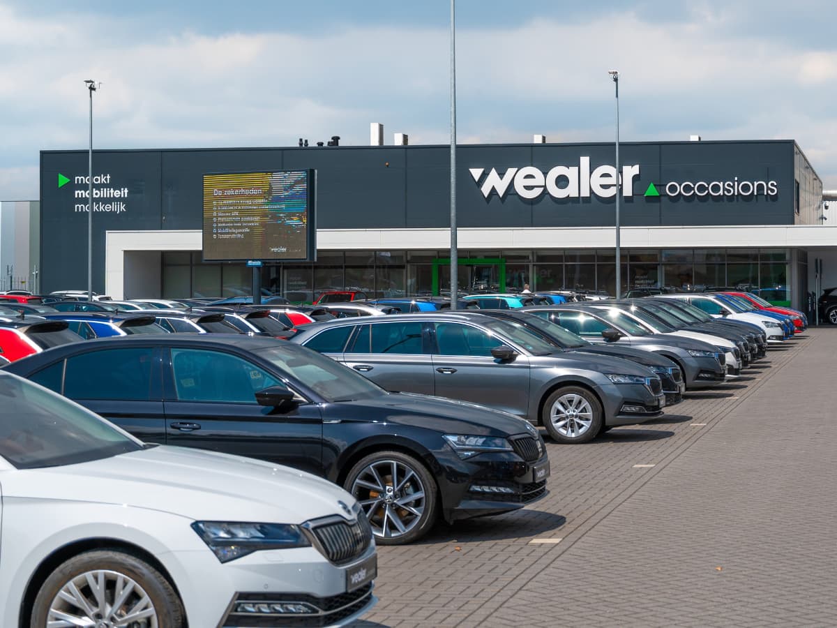 Wealer occasions 1