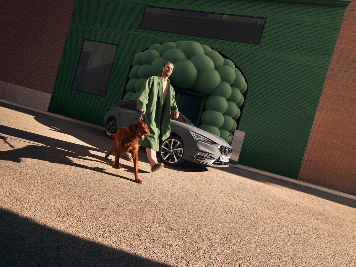 Auto met man en hond voor auto