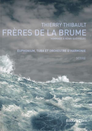 Thibault  Thierry  Freres De La  Brume  Tu129b