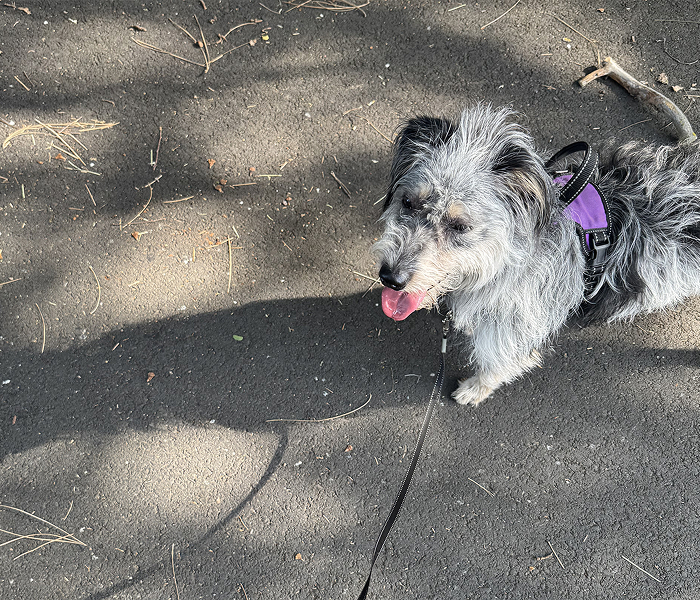 GSPC August bonus Contest Winners 2025 1