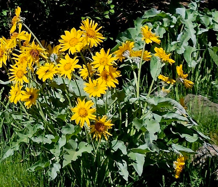 GSPC May bonus Contest Winners 2025 1