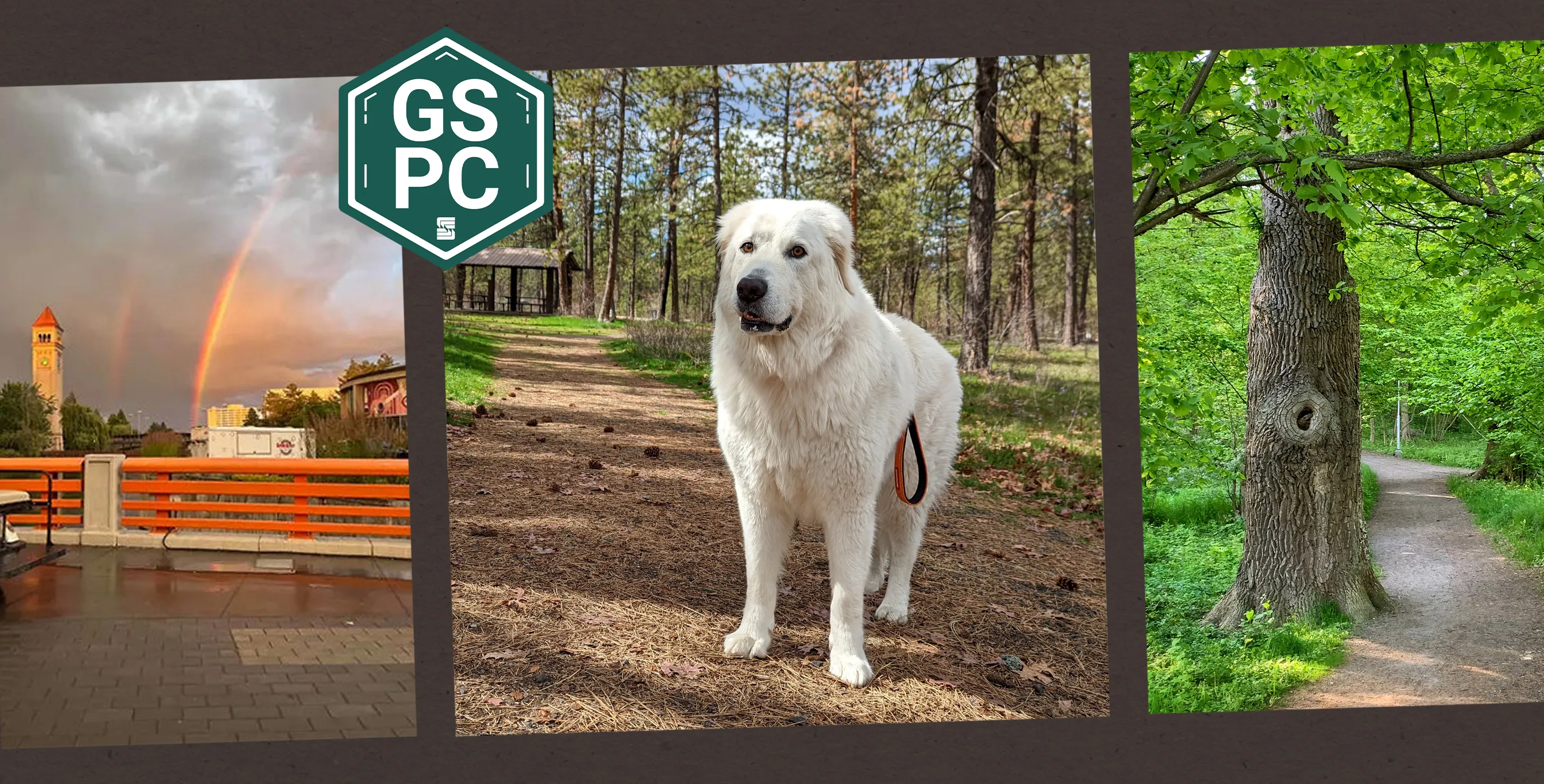 Gspc winner coming soon