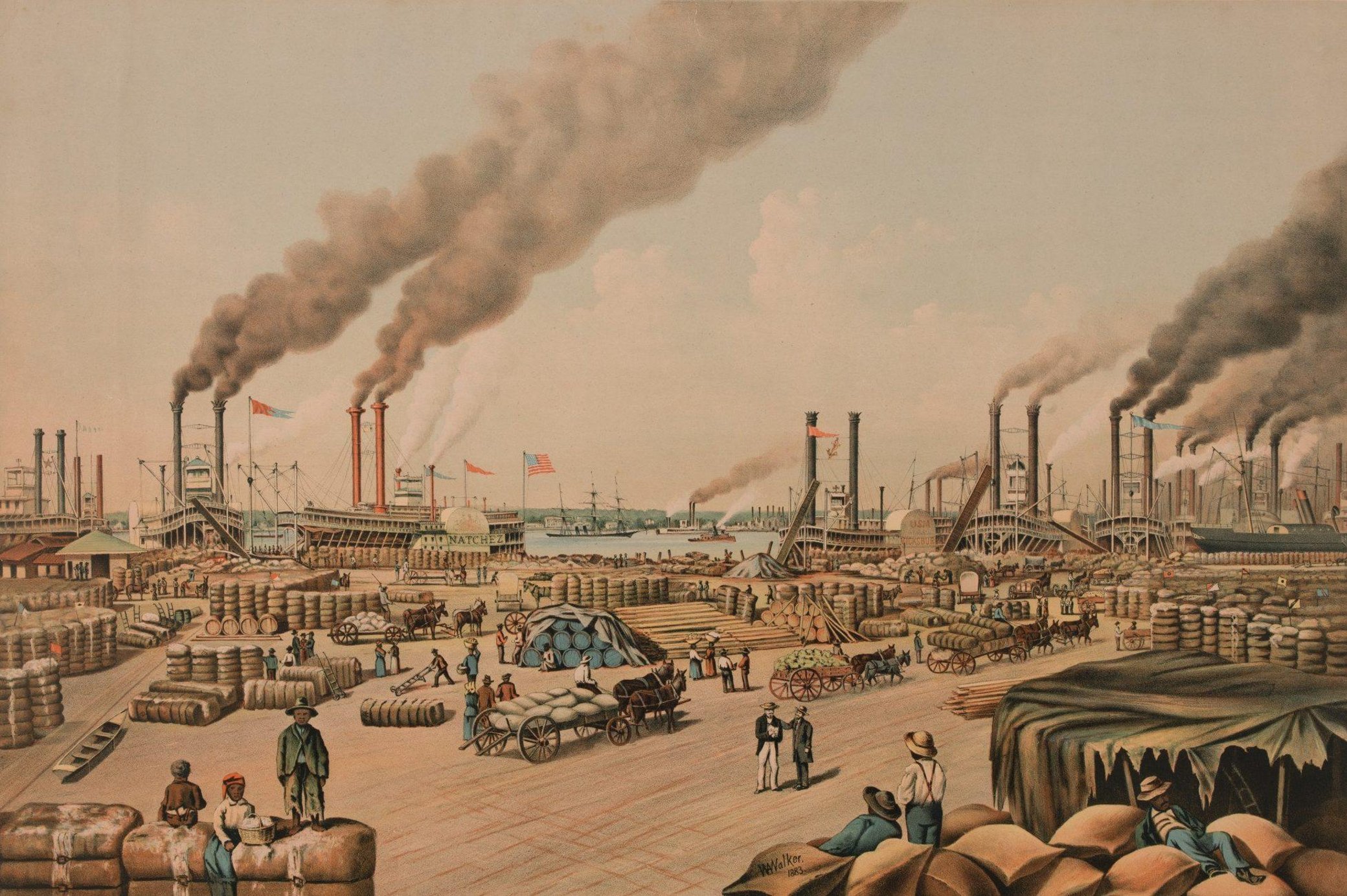 The Free Man of Color Who Revolutionized the Sugar Industry | Historic ...