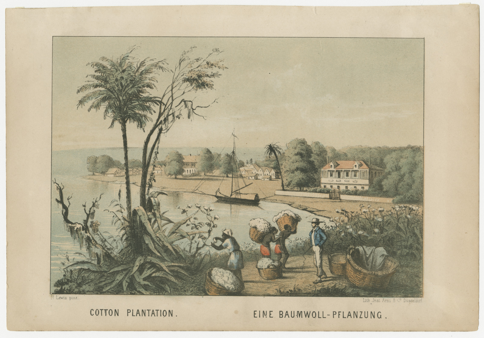 A vintage illustration depicts a cotton plantation scene with workers carrying cotton, palm trees, and houses by a river. A boat is docked near the shore, and the landscape is lush and tropical. Text reads Cotton Plantation and Eine Baumwoll-Pflanzung.