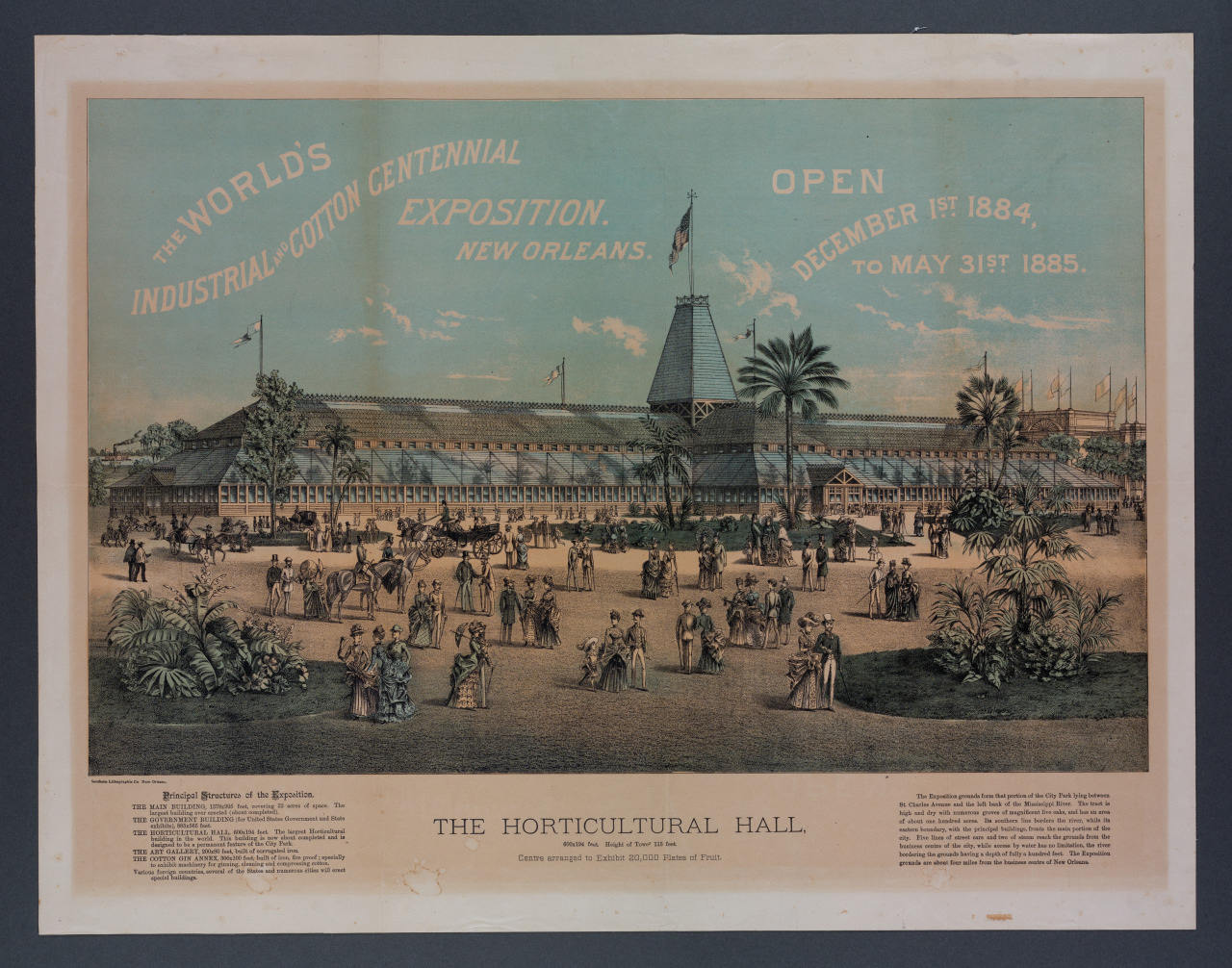 A vintage poster for the Worlds Industrial and Cotton Centennial Exposition in New Orleans, featuring the Horticultural Hall. The building is surrounded by palm trees and people in period clothing, with event dates from December 1, 1884, to May 31, 1885.