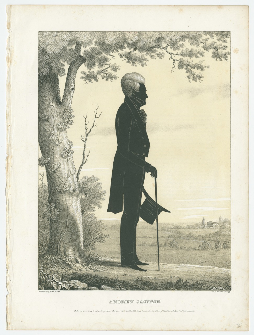 A silhouette of a man with white hair standing in profile under a tree, holding a hat and cane. The background features a rural landscape with trees and a distant house. The text Andrew Jackson is shown below the image.