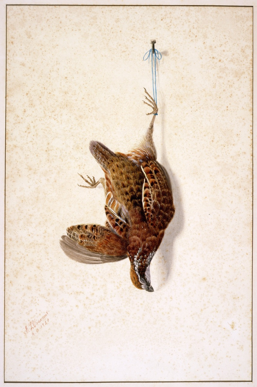 Illustration of a dead partridge hanging upside down by one foot from a blue string on a wall. The birds feathers are detailed in brown and white, and the background is a textured off-white.