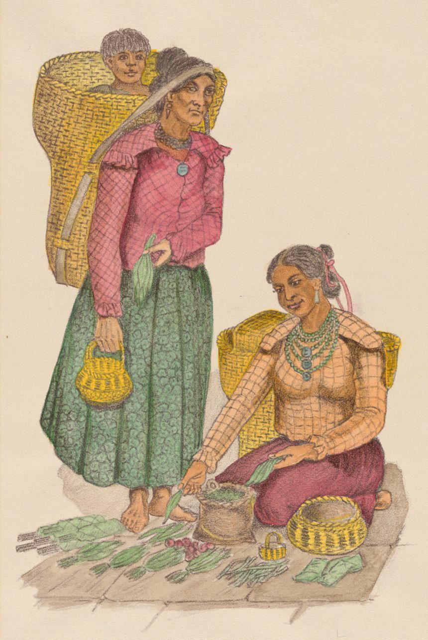 View of two women and one child carried in a large woven basket. One woman is seated on a small rug with a basket, a large metal container, sassafras leaf bundles, leaves of herbs, and edible flowers.