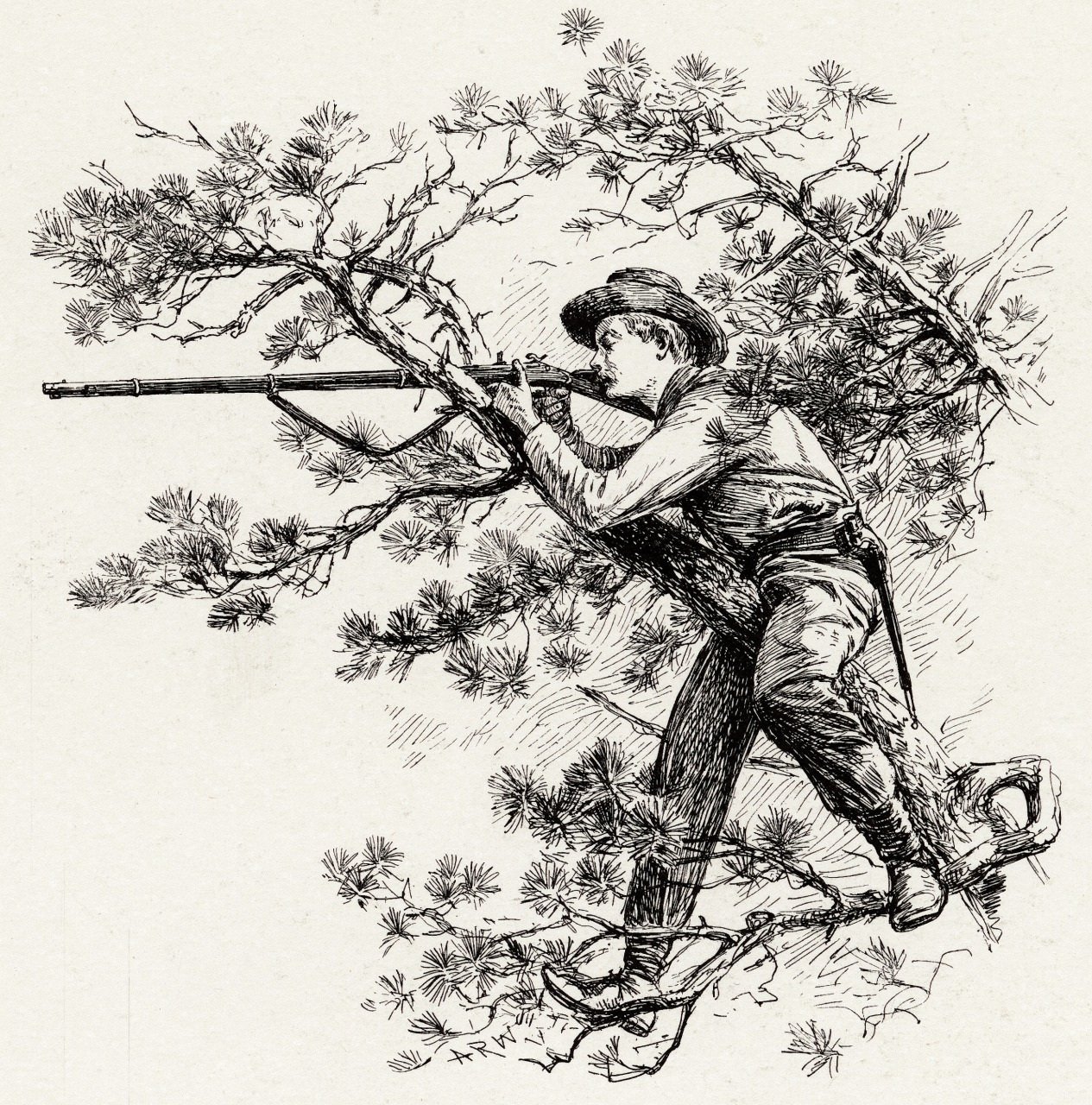 A black and white illustration of a person perched in a tree, holding a long rifle. The person is wearing a hat and appears to be aiming the rifle outward. The tree is depicted with sparse, needle-like leaves.