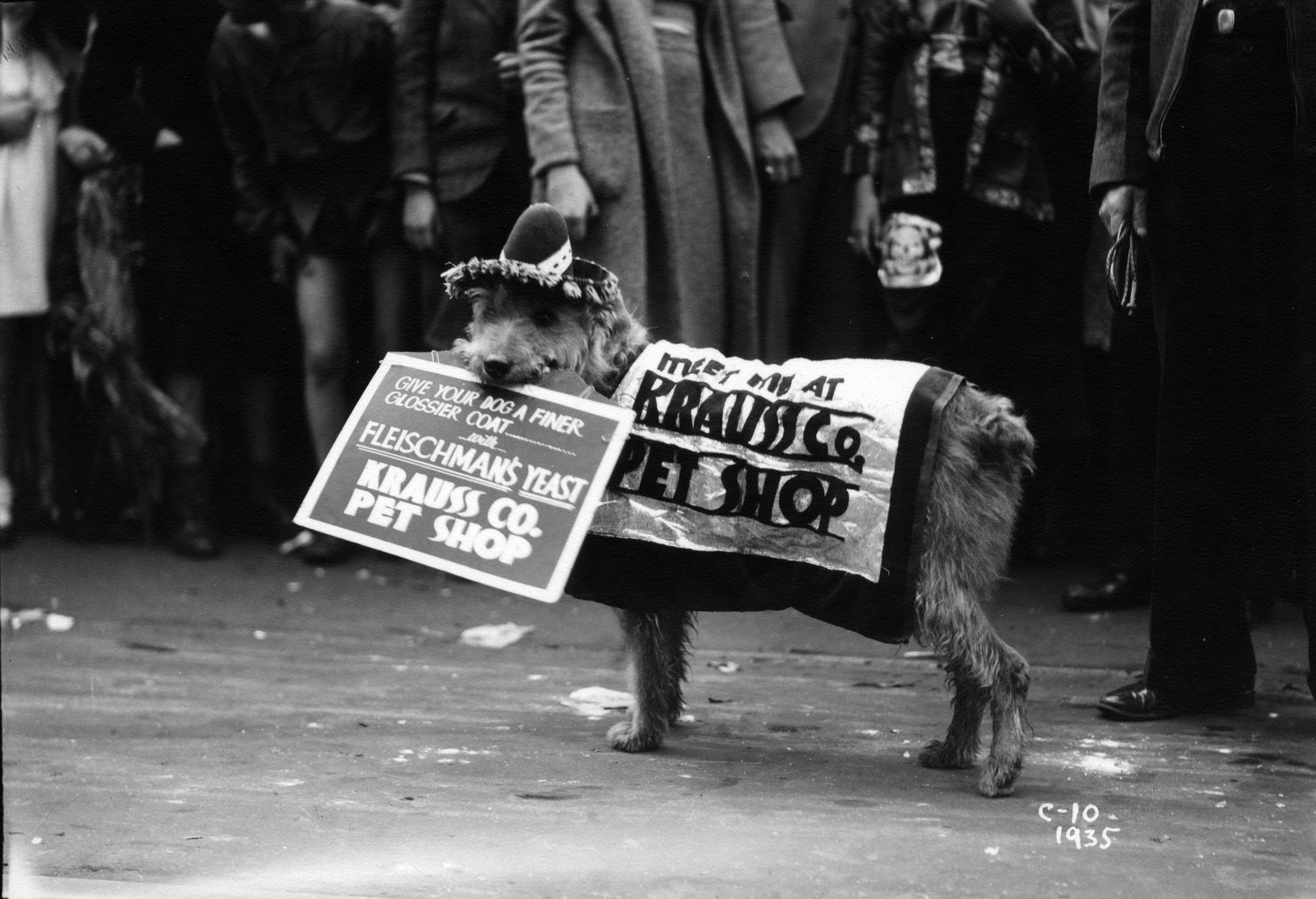 A dog wearing a sombrero promotes Krauss Department Store and Fleischman’s Yeast on Mardi Gras Day in 1935.