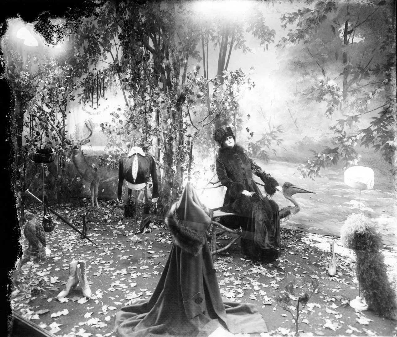 A woman dressed in dark, heavy clothing sits on a bench in a forest scene surrounded by trees and fallen leaves. A pelican and other taxidermy birds are nearby, with a painted backdrop creating an outdoor illusion.