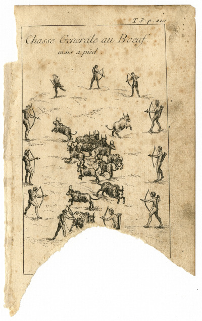 An illustration of an ox hunt from Vol. II of “Histoire de la Louisiane,” with a French title at the top.