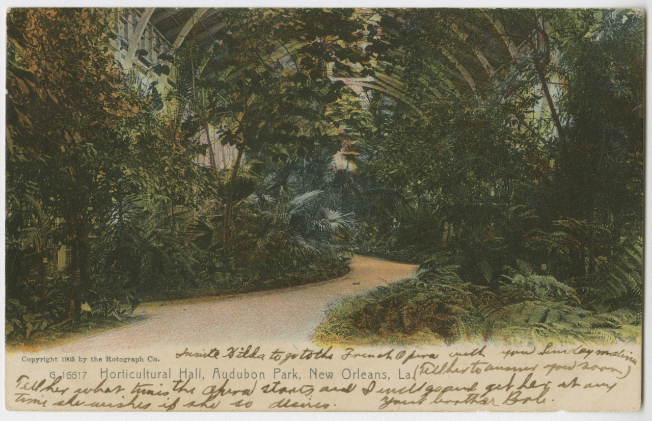 A vintage postcard of Horticultural Hall, Audubon Park, New Orleans, depicting a lush indoor garden with a curved pathway surrounded by dense tropical foliage. Handwriting in faded ink overlays the lower portion of the image.