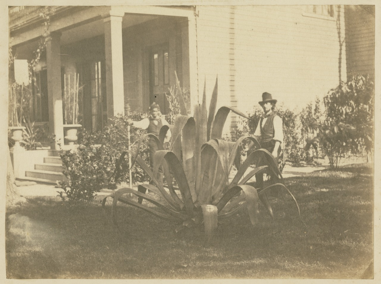 A vintage photo shows a large agave plant in the foreground. Two individuals stand in a garden near a house, one wearing a hat and vest, the other partially visible in the background. The scene is in sepia tones.