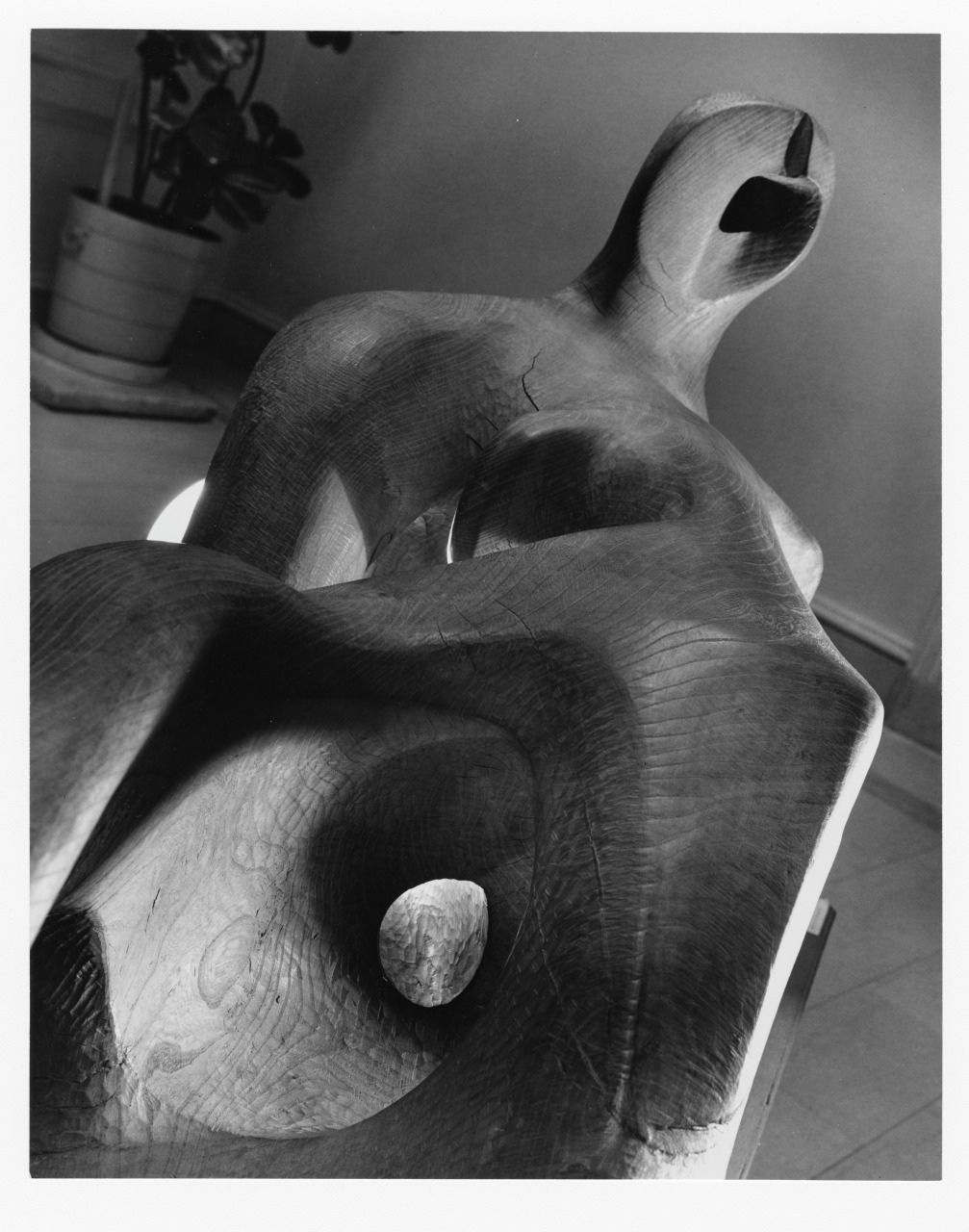 Black and white photo of a smooth, abstract wooden sculpture with flowing, curved forms. It has hollow sections and an elongated shape, positioned in an indoor setting with a plant in the background.