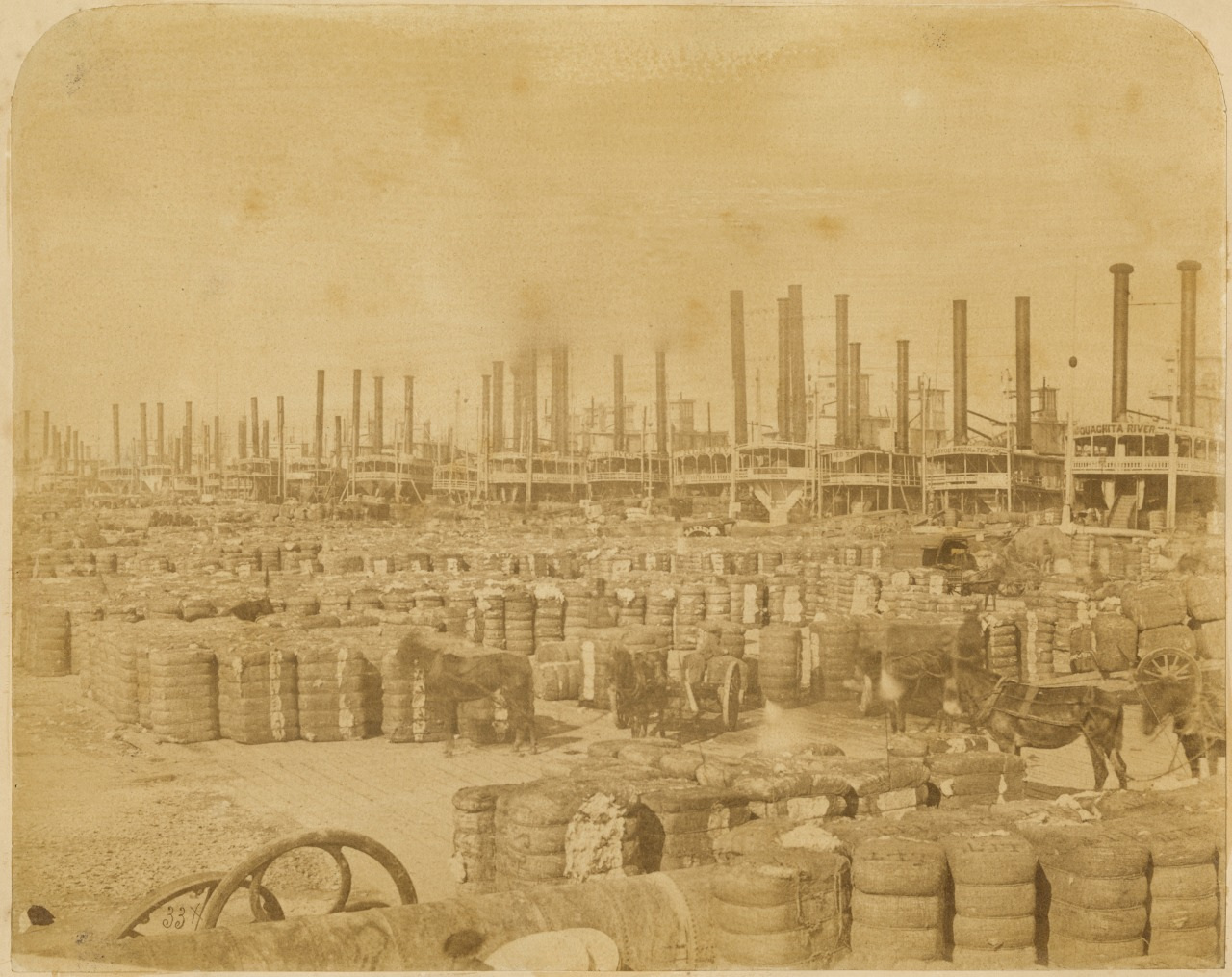 Sepia-toned photograph of a bustling 19th-century Mississippi River dock. Dozens of steamboats with tall smokestacks are lined up along the riverbank. Numerous bales of cotton and horse-drawn carts fill the docks in the foreground.