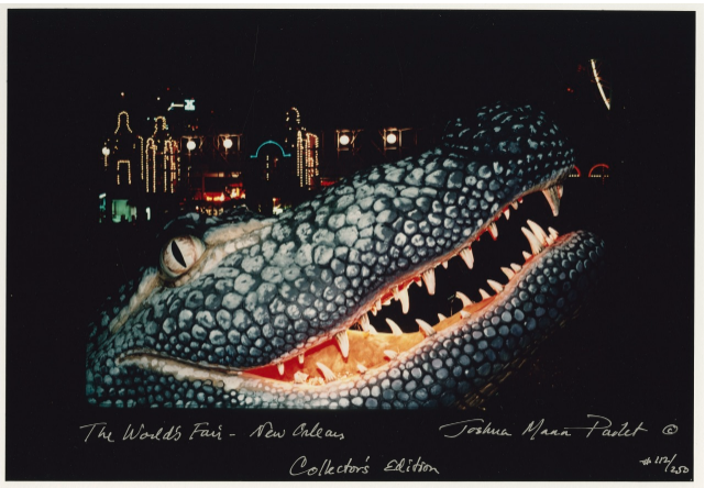 Close-up of a large, illuminated alligator sculpture at night, with its mouth open, displaying sharp teeth. In the background, there are various lights and building outlines. Handwritten text at the bottom reads, The Worlds Fair - New Orleans, Collectors Edition.