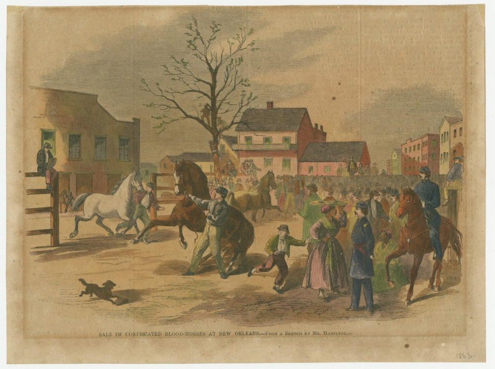 A lively 19th-century scene of a horse sale in New Orleans. People gather around various horses in an outdoor setting. Buildings line the background, while a dog runs in the foreground. The atmosphere is bustling and colorful.