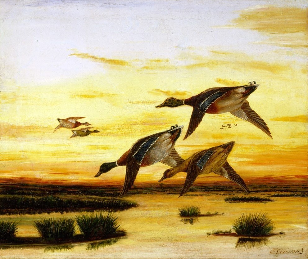 A painting of ducks flying over a marsh during a vibrant sunset. The sky is filled with warm orange and yellow hues, reflecting on the water below. Clusters of grass are scattered around the wetland.