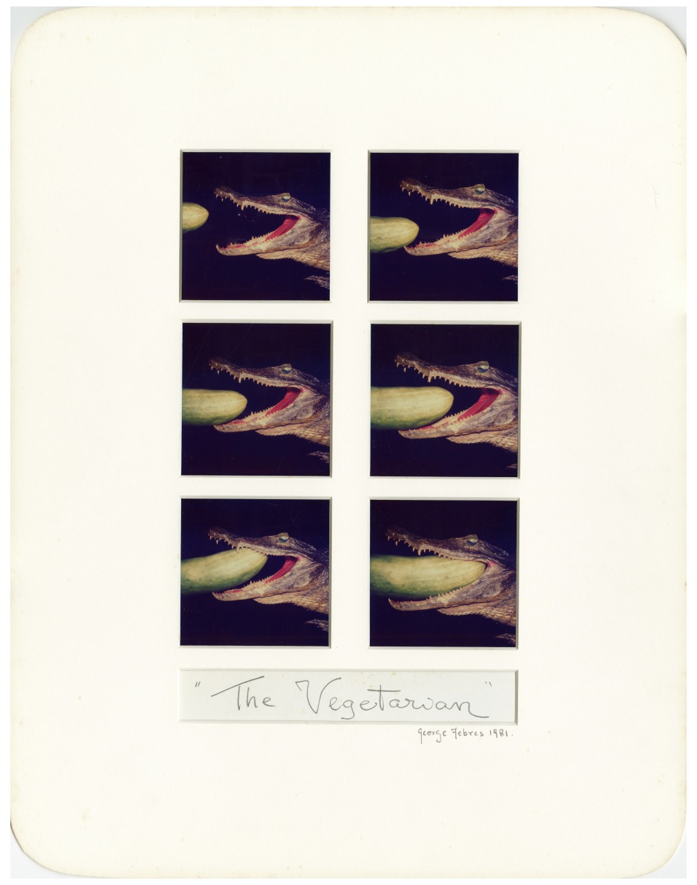 A collage of six panels shows an alligator biting into a green cucumber. The sequence humorously depicts the alligator, with its mouth wide open, gradually consuming the vegetable. Titled The Vegetarian by George Peters, 1981.