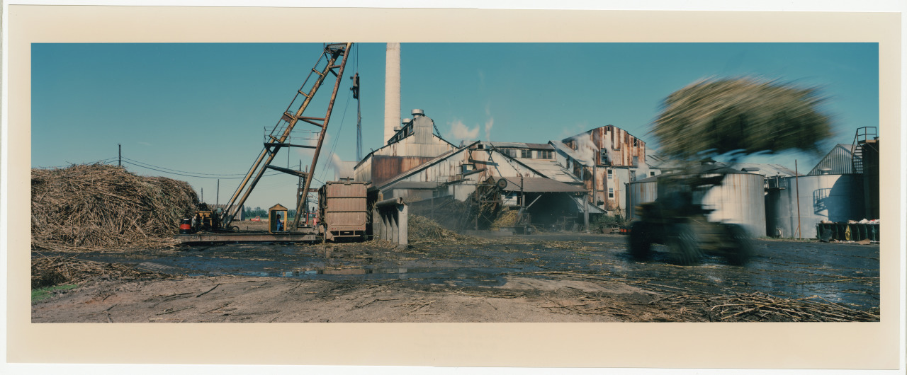 A large, industrial sugar mill with machinery and a crane lifting materials. A blurred vehicle carrying a load of sugarcane moves rapidly in the foreground, surrounded by piles of harvested cane and industrial buildings under a clear blue sky.