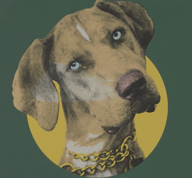 Poster featuring an illustration of a Catahoula Cur, the state dog of Louisiana.