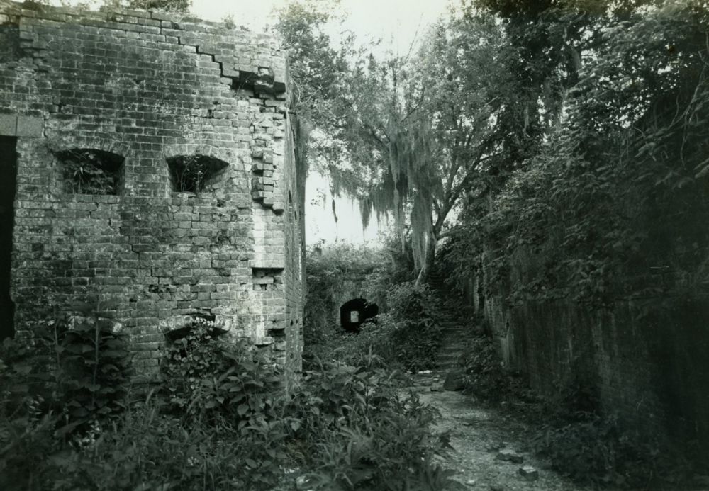 Black and white photo of an old, partially collapsed brick building surrounded by overgrown plants and trees. Sunlight filters through the foliage, illuminating the pathway along the structure.