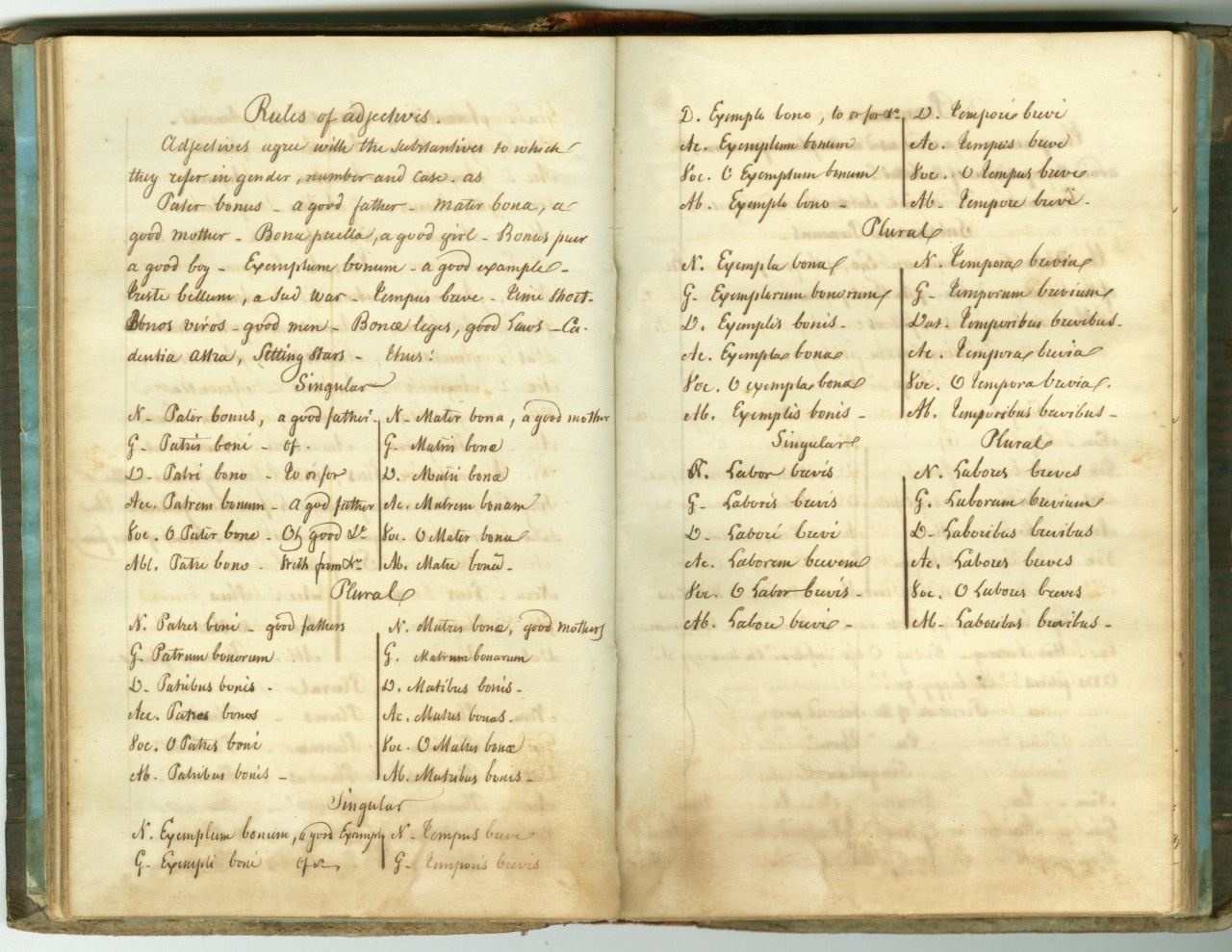 An open vintage book displays handwritten botanical notes. The pages list plant names in Latin, organized in columns. The handwriting is cursive, and the paper shows signs of aging, with visible yellowing and creases.