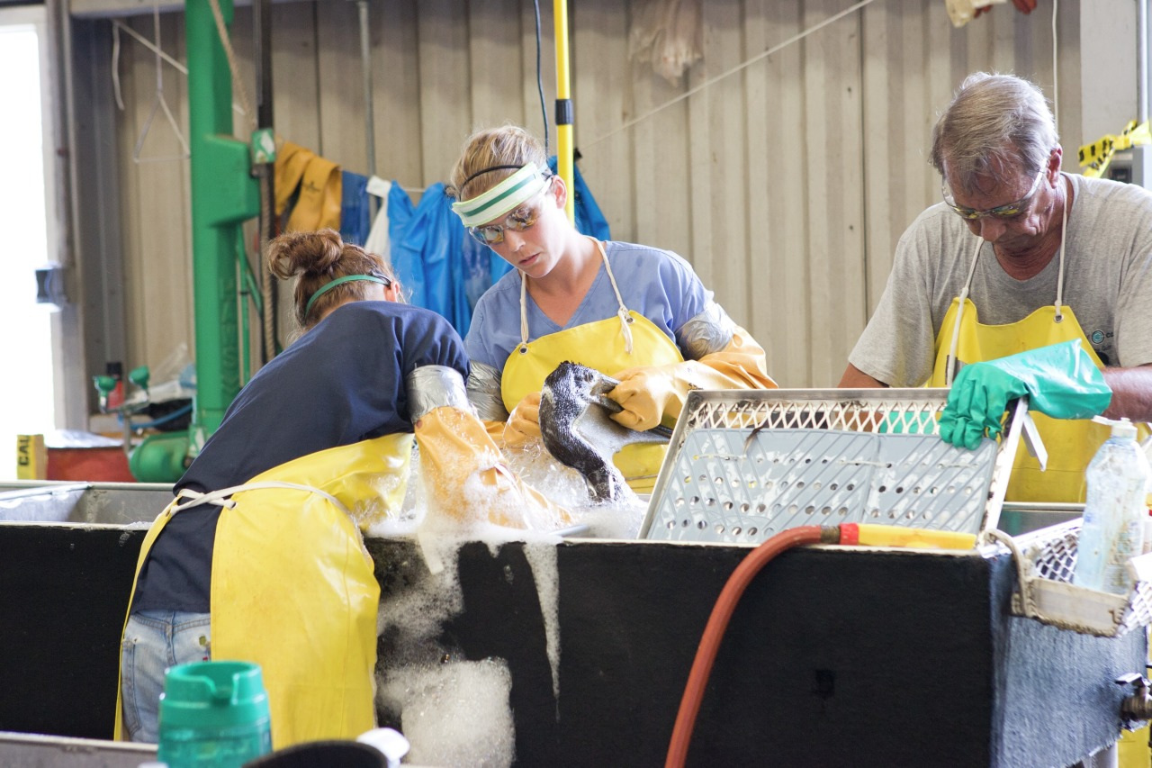 2011 0153 20100611 Fort Jackson LA KM077 web