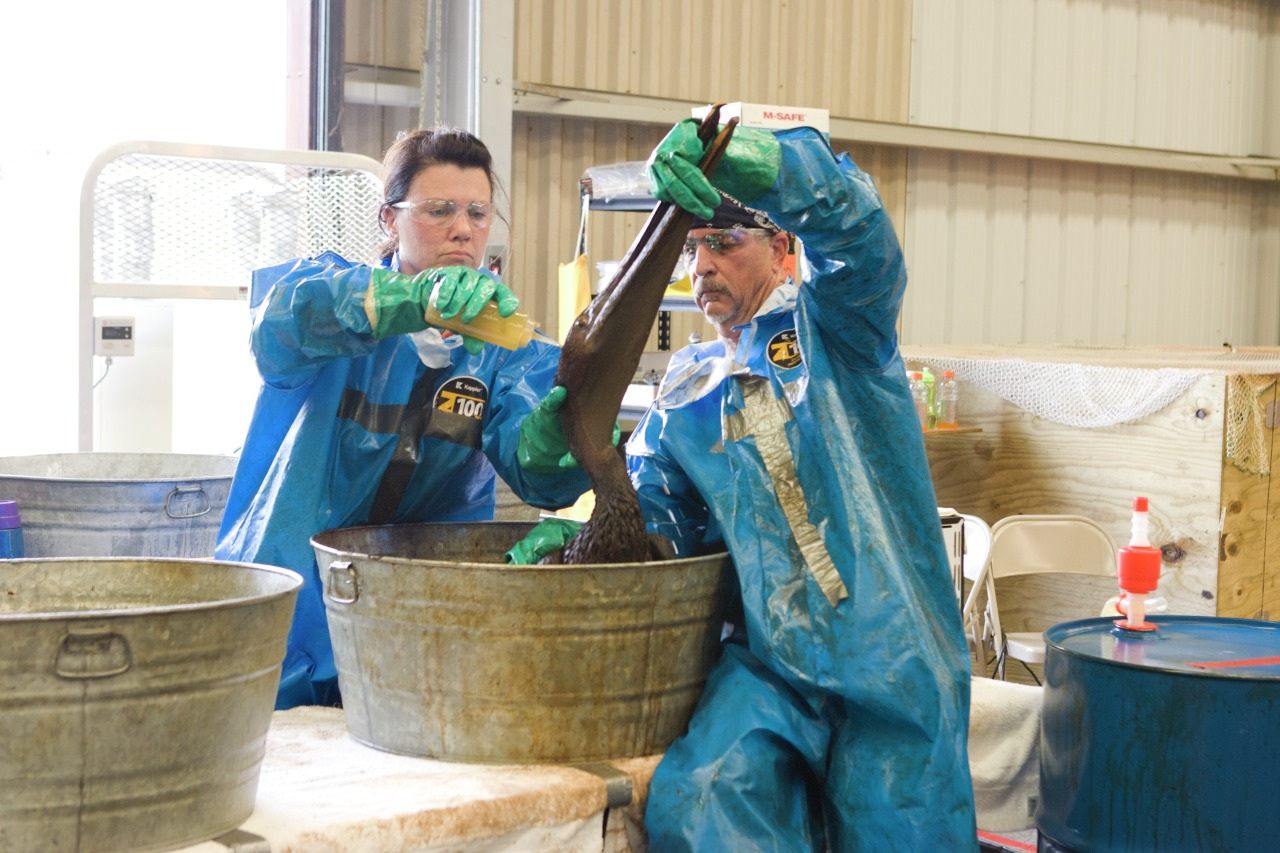 2011 0153 20100611 Fort Jackson LA KM097 web