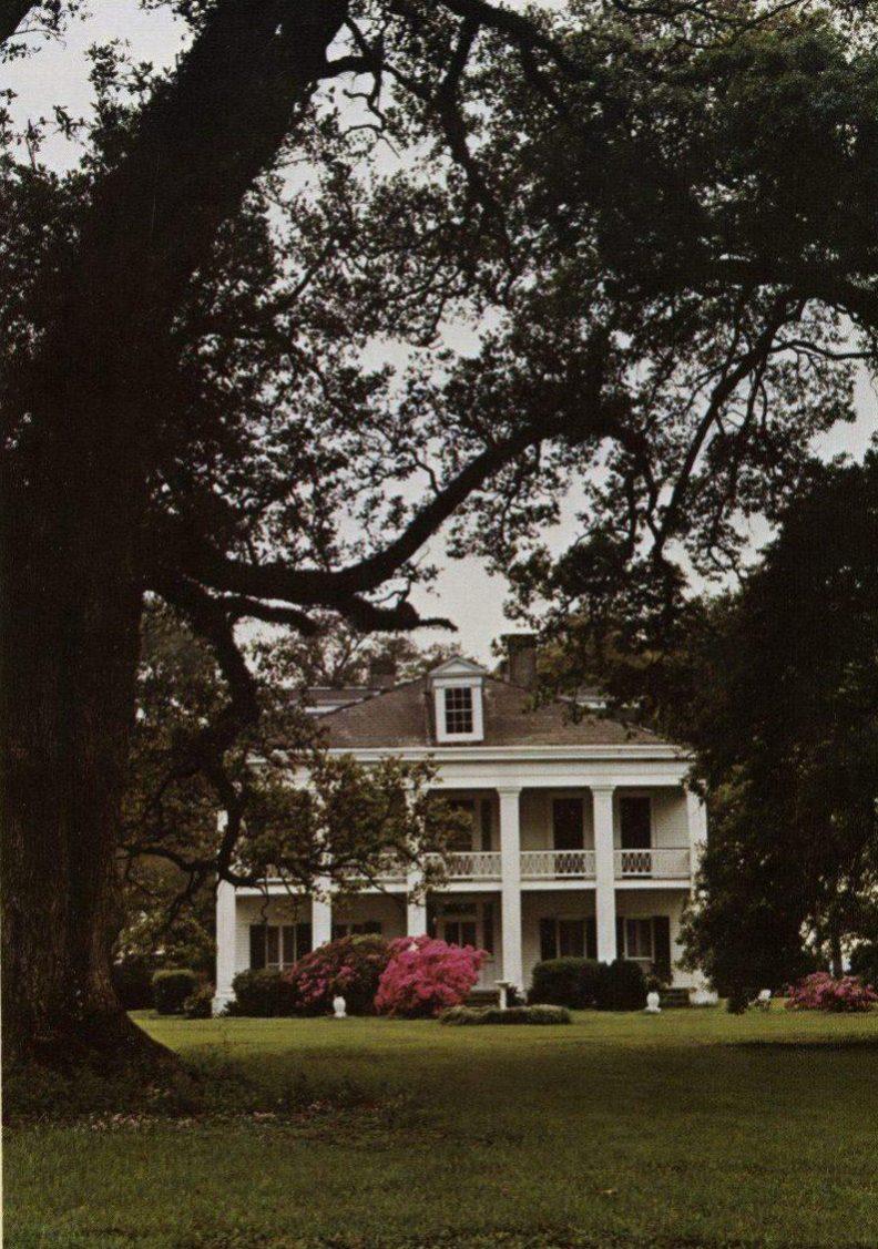 A grand two-story colonial-style house with white columns and an expansive porch is framed by large trees and vibrant azaleas in the foreground. The lawn is well-manicured, and the setting appears tranquil and inviting.