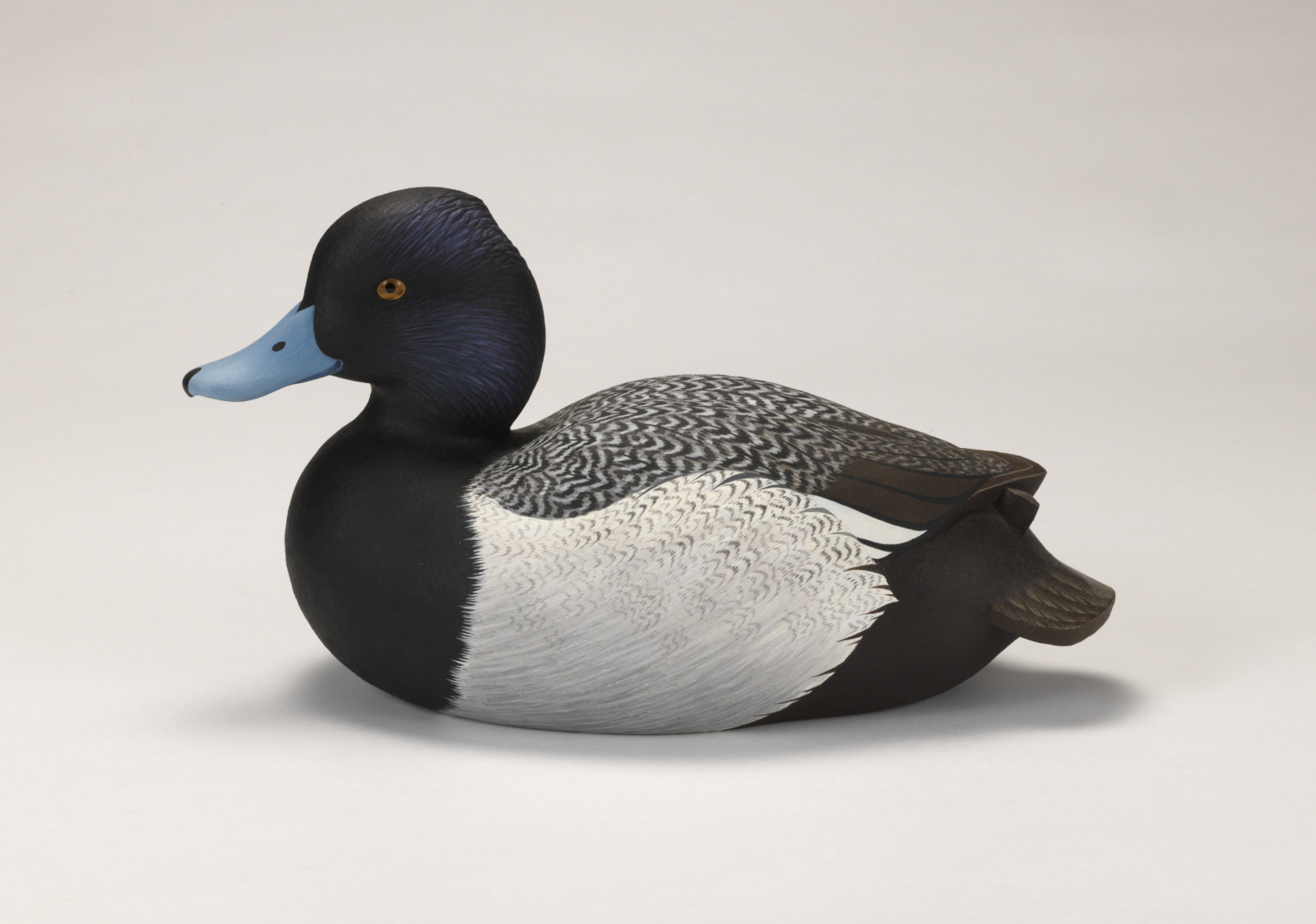A realistic carving of a bluebill duck depicted as if floating on water.
